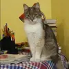 Отзыв от Наиля Фомичева